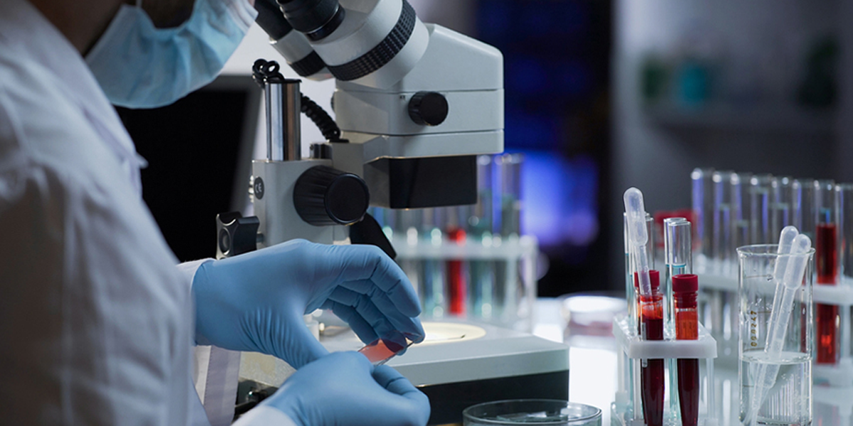 lab